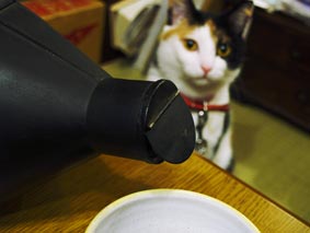 08_091h.jpg